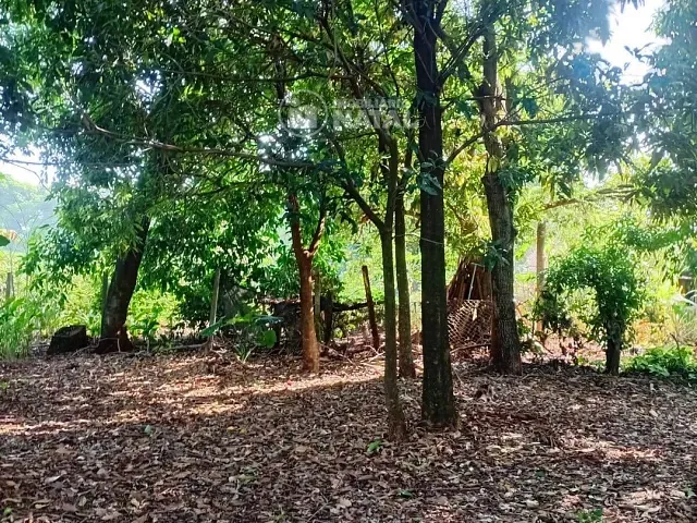 Chácara com 5000m² 2 quartos e 1 banheiro, à venda, no bairro Taquara do Reino em Ibiporã