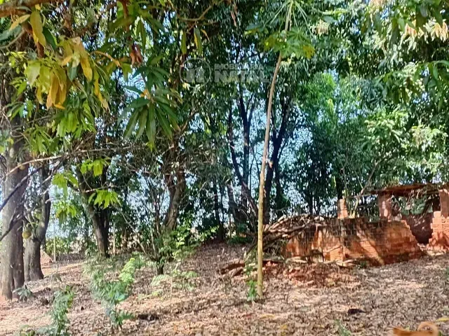 Chácara com 5000m² 2 quartos e 1 banheiro, à venda, no bairro Taquara do Reino em Ibiporã