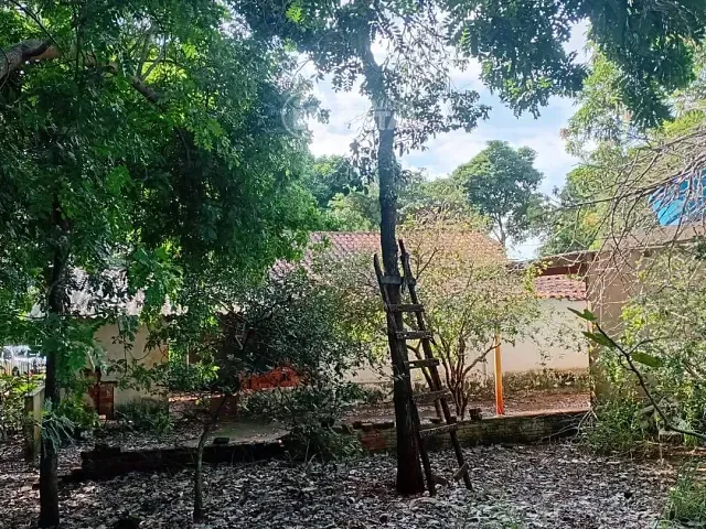 Chácara com 5000m² 2 quartos e 1 banheiro, à venda, no bairro Taquara do Reino em Ibiporã