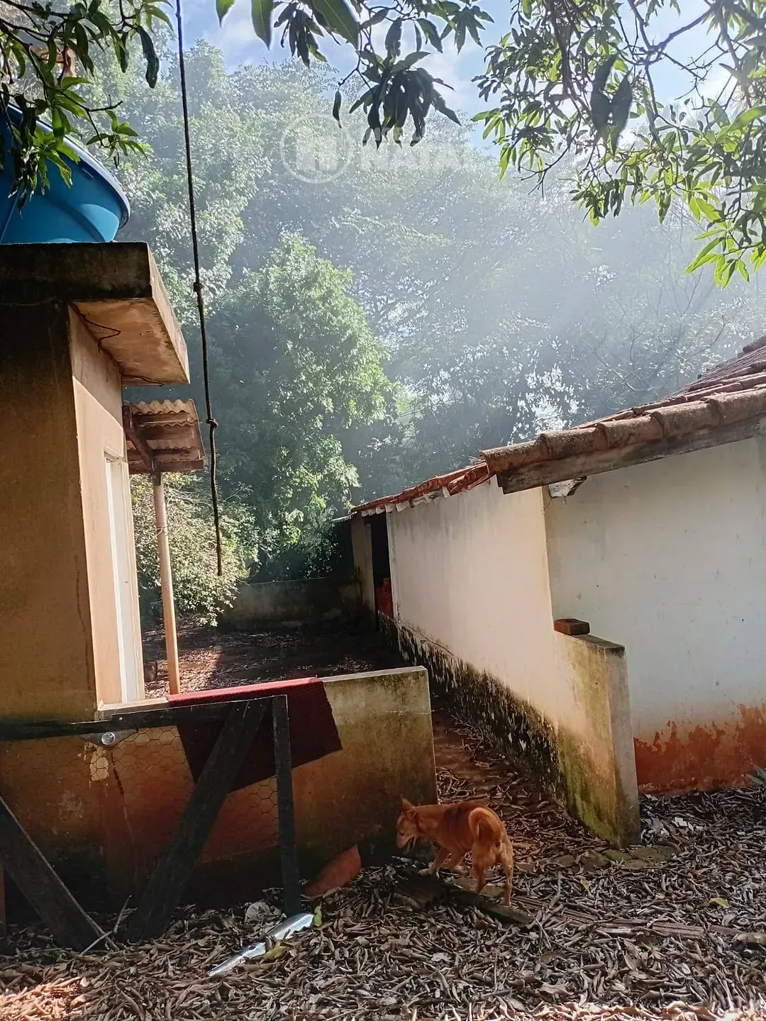 Sítio, 2 quartos, 5000 m² - Foto 16