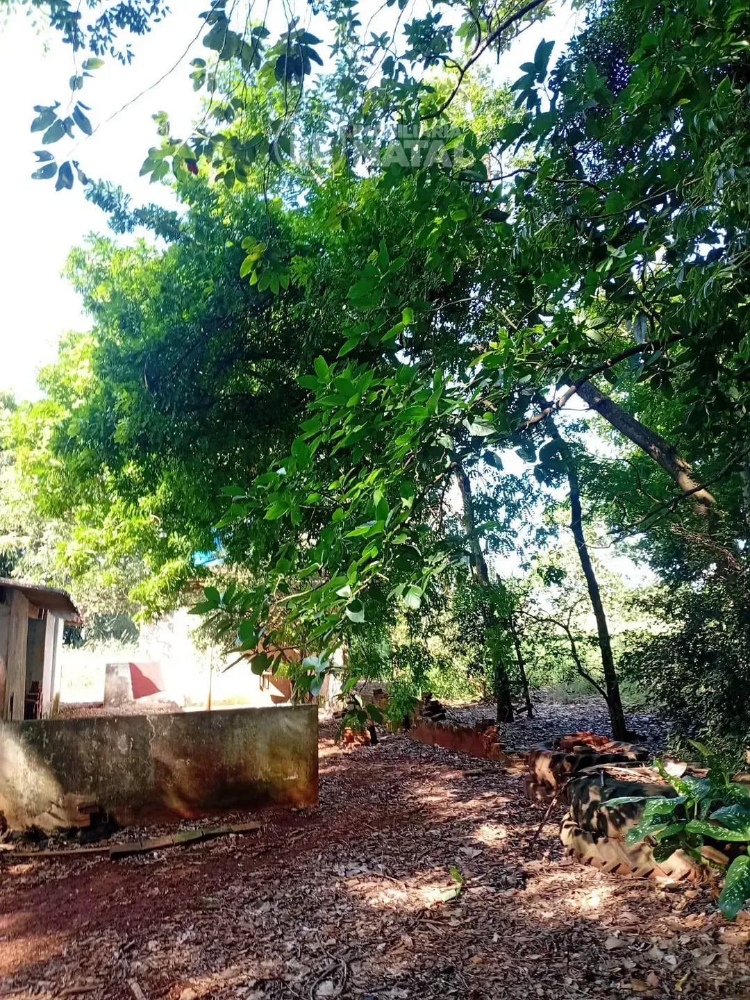 Sítio, 2 quartos, 5000 m² - Foto 6