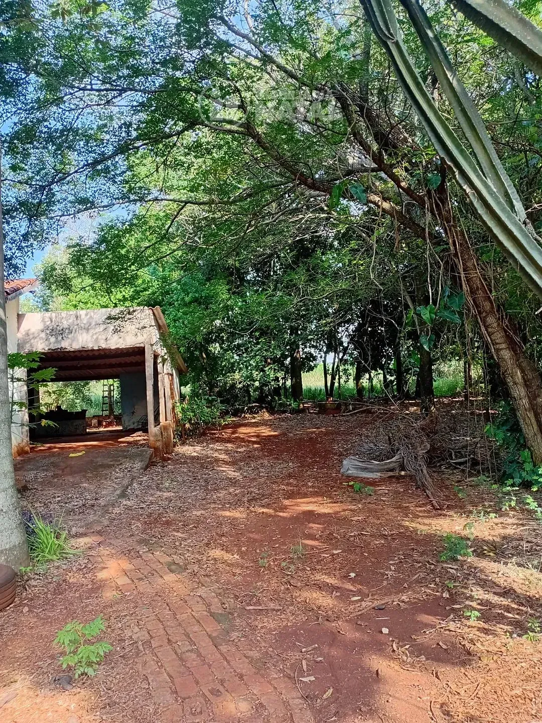 Sítio, 2 quartos, 5000 m² - Foto 10