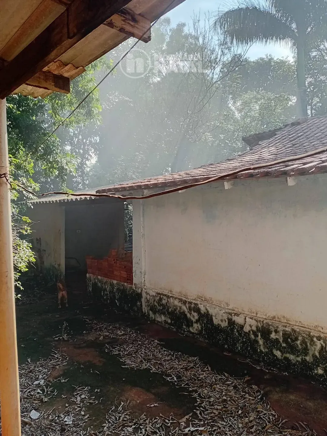 Sítio, 2 quartos, 5000 m² - Foto 12