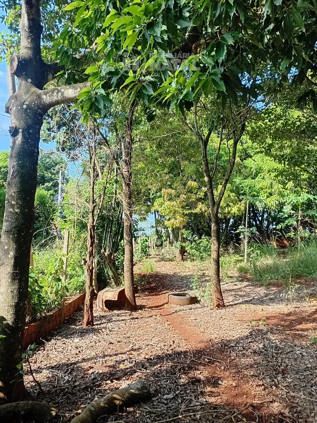 Sítio, 2 quartos, 5000 m² - Foto 15