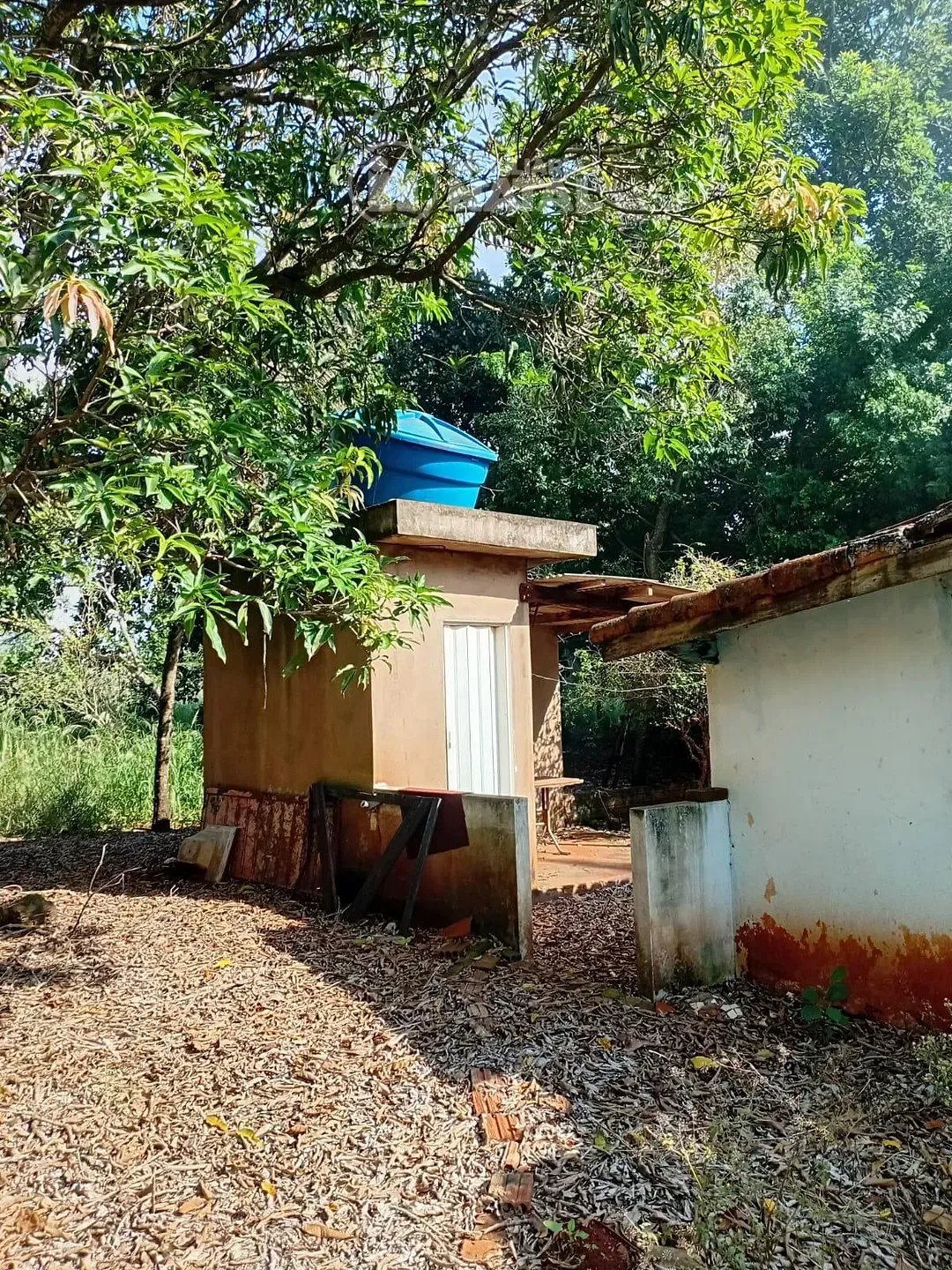 Sítio, 2 quartos, 5000 m² - Foto 19