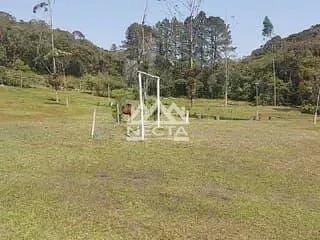 Sítio, 4 quartos, 2 hectares - Foto 4