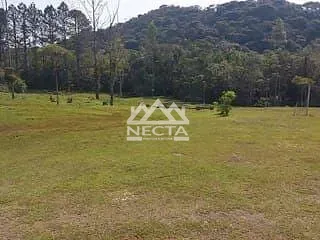 Sítio, 4 quartos, 2 hectares - Foto 8
