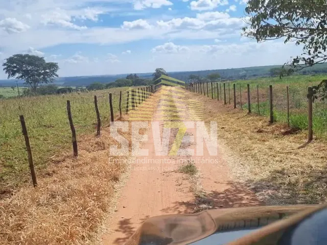 Chácara com 24200m², à venda, no bairro Vila Guedes de Azevedo em Arealva