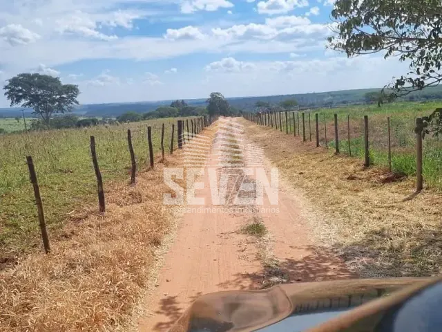 Chácara com 24200m², à venda, no bairro Vila Guedes de Azevedo em Arealva