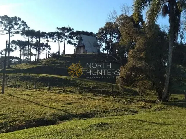 Chácara com 2557970m² 5 quartos e 3 banheiros, à venda, no bairro Laranjeiras em Campo Alegre