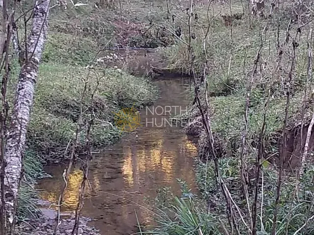 Chácara com 2557970m² 5 quartos e 3 banheiros, à venda, no bairro Laranjeiras em Campo Alegre