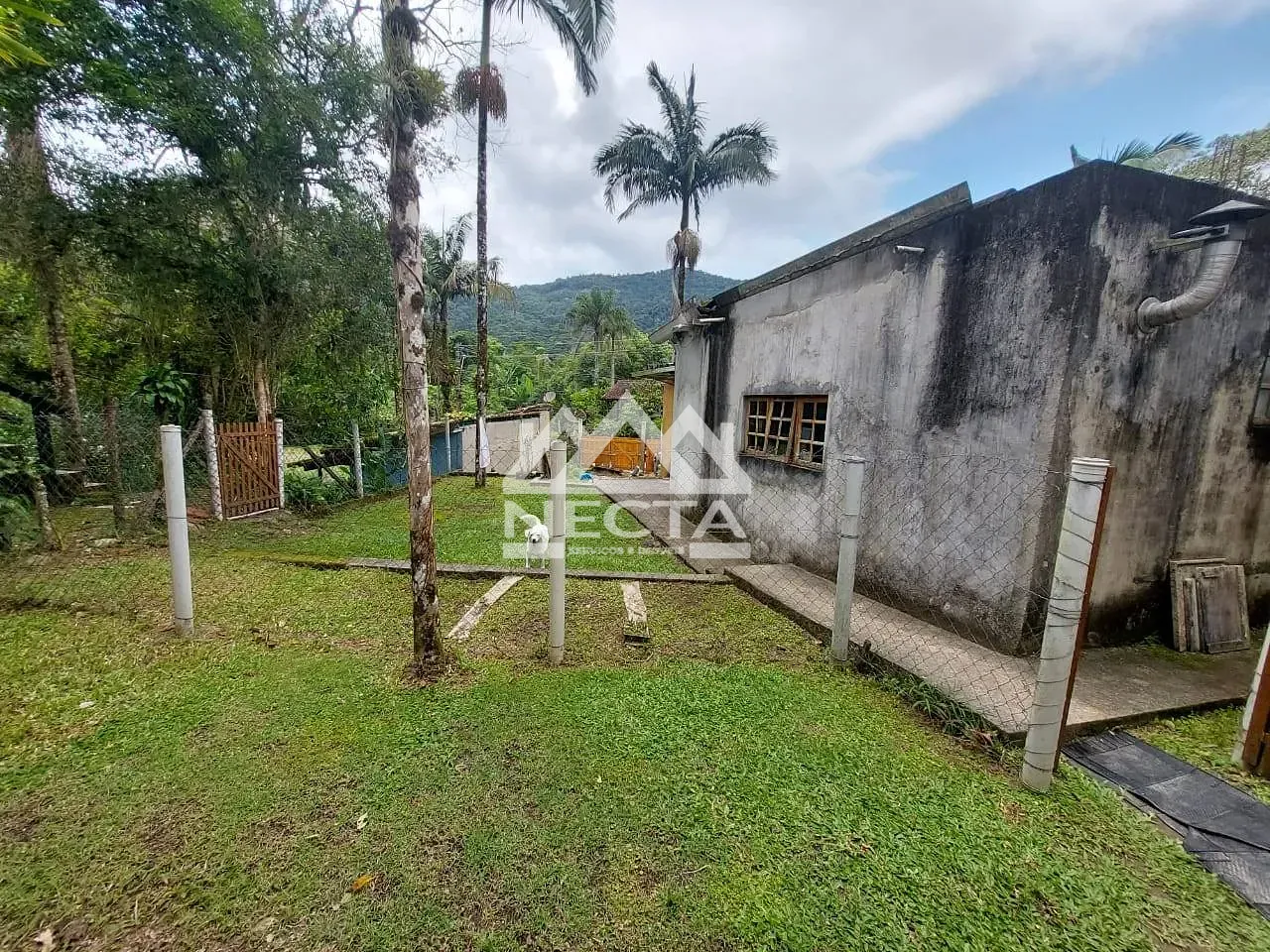 Sítio, 3 quartos, 1200 m² - Foto 28