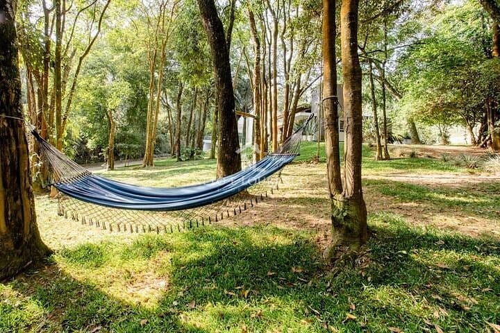 Chácara à venda com 2 quartos, 4000m² - Foto 8