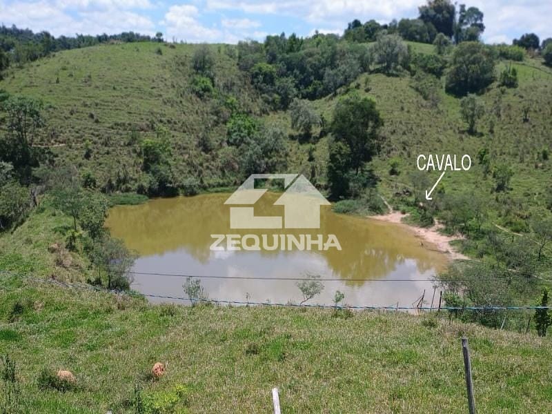 Sítio, 2 quartos, 19 hectares - Foto 15