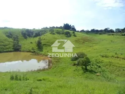 Sítio, 2 quartos, 19 hectares - Foto 7