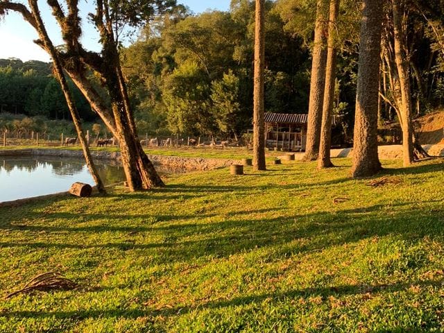 Foto do Chácara - São José dos Pinhais, Chácara , 4 dormitórios, 2 suítes, contendo 26.320m², Roça Velha, à venda, PR | Imobiliária GreenVille