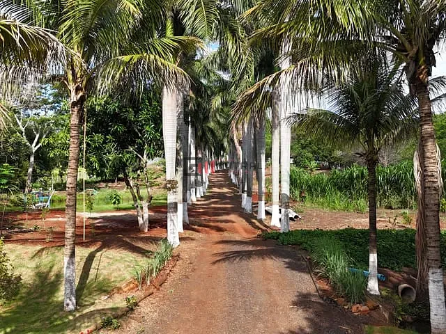Chácara com 30000m² 3 quartos e 3 banheiros, à venda, no bairro jataizinho em Jataizinho