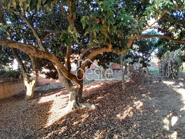 Chácara com 1250m² 2 quartos e 1 banheiro, à venda, no bairro Chácara Recreio Cruzeiro do Sul em Santa Bárbara D'Oeste