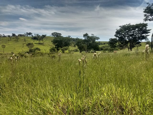 Chácara com 400000m², à venda, no bairro Barreiro em Taubaté