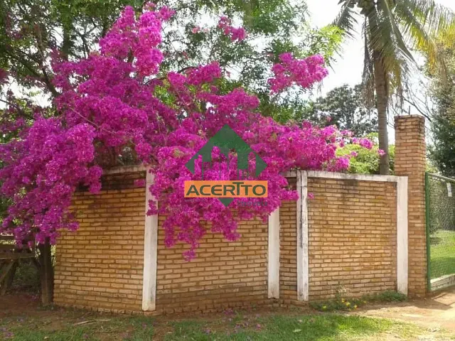 Chácara com 5000m², à venda, no bairro Conjunto Habitacional Pedro Perri em Araçatuba