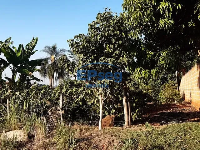 Chácara com 5633m², à venda, no bairro zona rural em Ibiporã