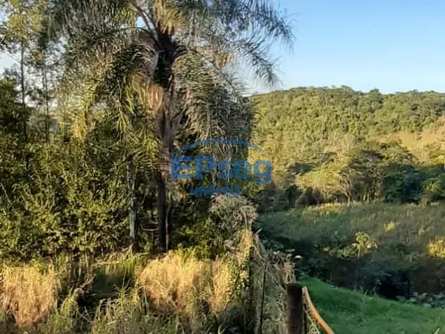 Chácara com 5633m², à venda, no bairro zona rural em Ibiporã