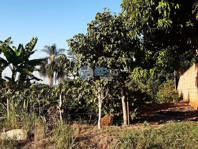 Chácara com 5633m², à venda, no bairro zona rural em Ibiporã