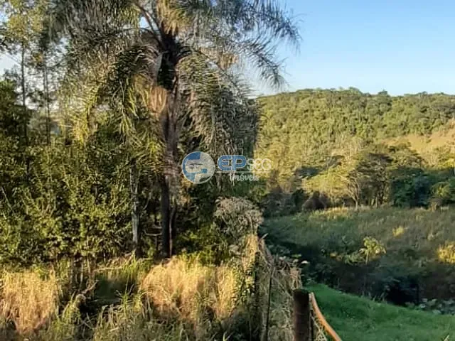 Chácara com 5633m², à venda, no bairro zona rural em Ibiporã