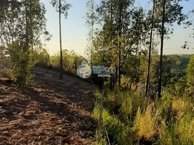 Chácara com 5633m², à venda, no bairro zona rural em Ibiporã
