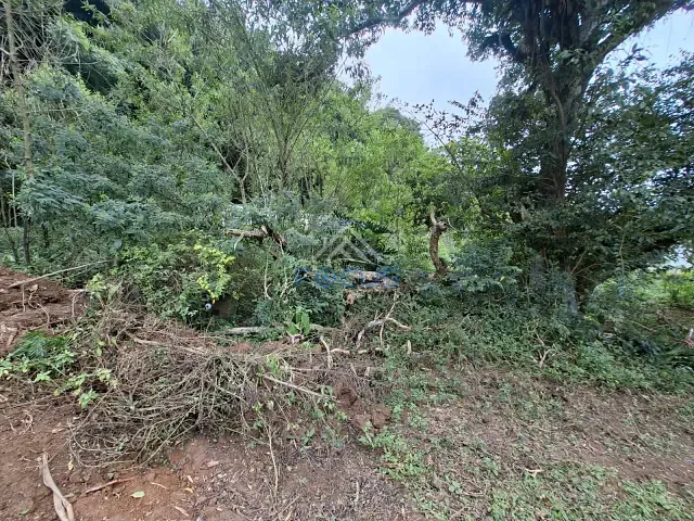 Chácara com 8141m² 1 quarto e 1 banheiro, à venda, no bairro Vila São José em Várzea Paulista