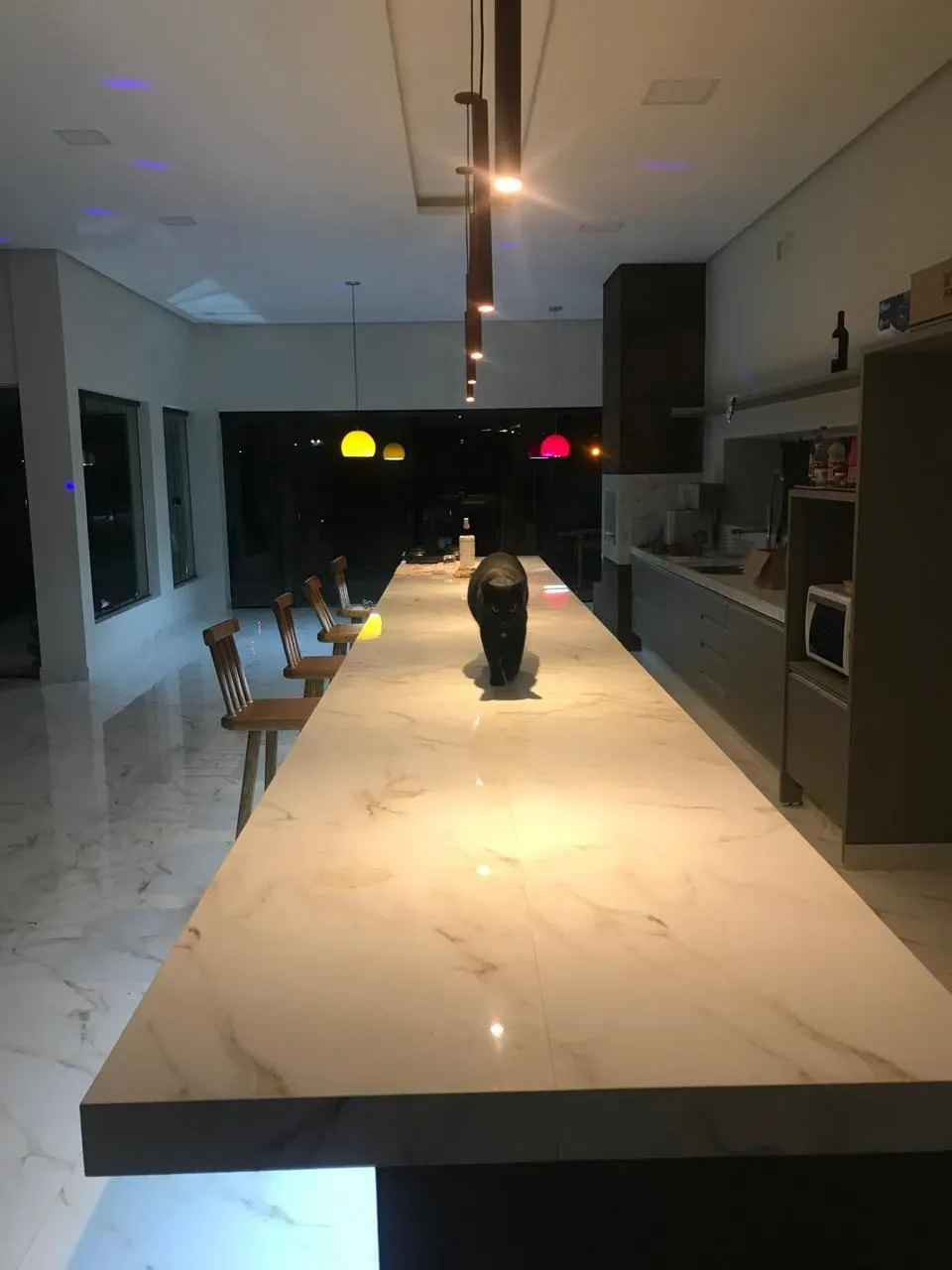 Sítio, 4 quartos, 3370 m² - Foto 31