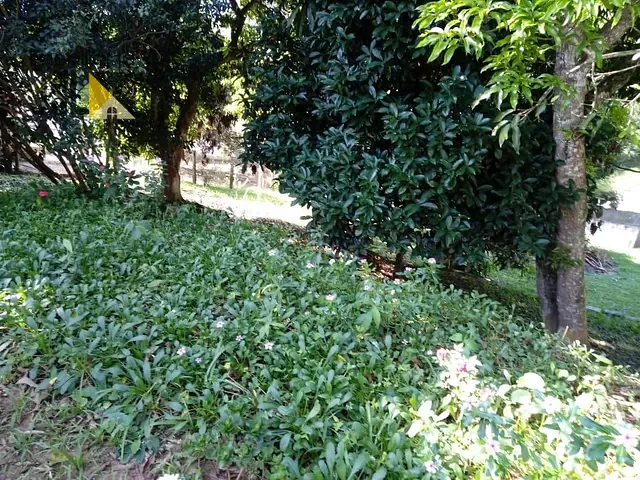 Chácara com 6500m² 3 quartos e 3 banheiros, à venda, no bairro Reserva Fazenda São Francisco em Jambeiro