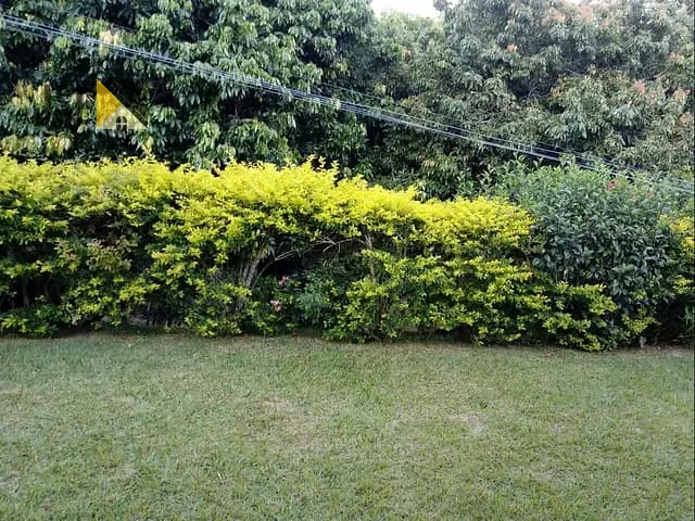Chácara com 6500m² 3 quartos e 3 banheiros, à venda, no bairro Reserva Fazenda São Francisco em Jambeiro