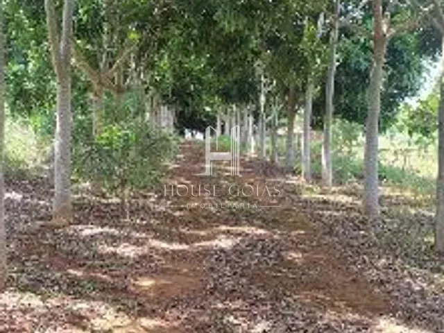 Chácara com 8600m² 2 quartos e 2 banheiros, à venda, no bairro Chácara Recanto da Mata  em Aragoiânia