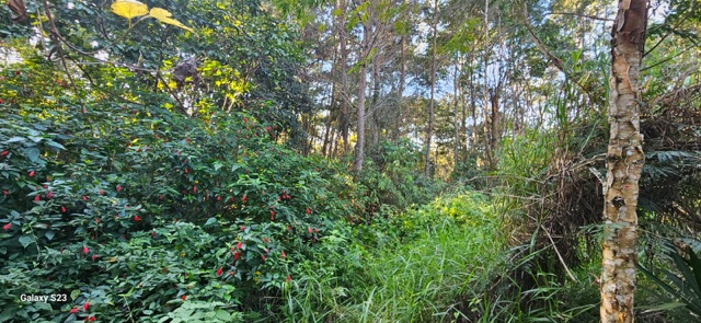 Chácara à venda, no bairro Fazenda Velha em Arujá