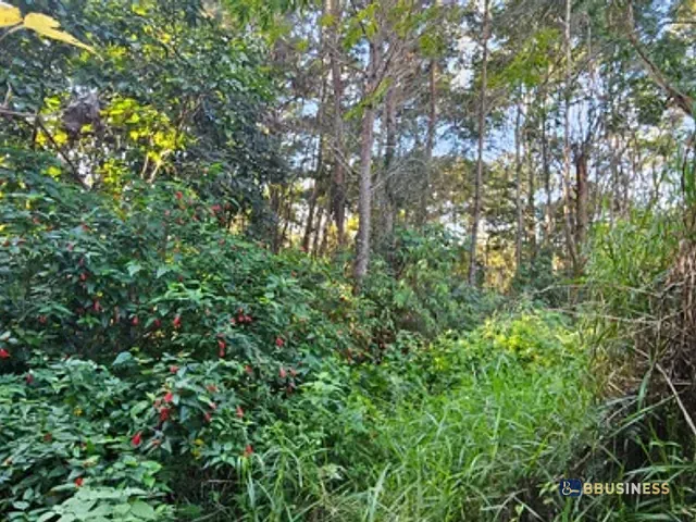 Chácara à venda, no bairro Fazenda Velha em Arujá