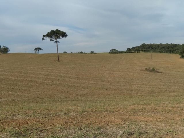 Fazenda com 1103149m² 3 quartos e 3 banheiros, à venda, no bairro Marietal em Lapa