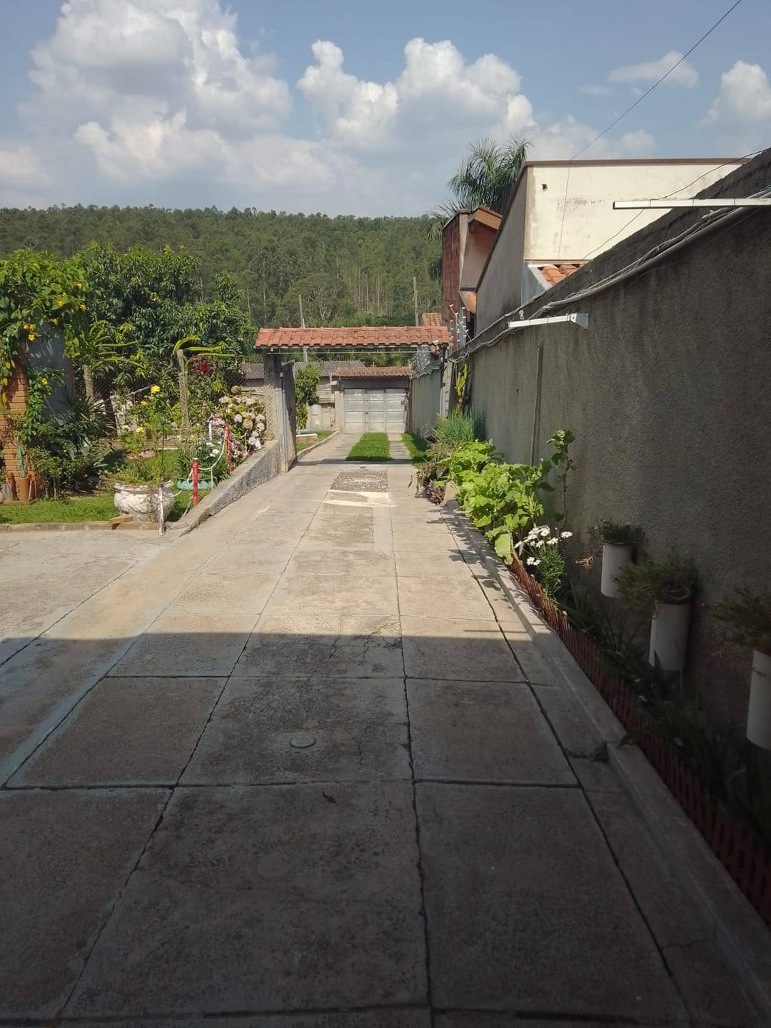 Chácara, 2 quartos, 1000 m² - Foto 4