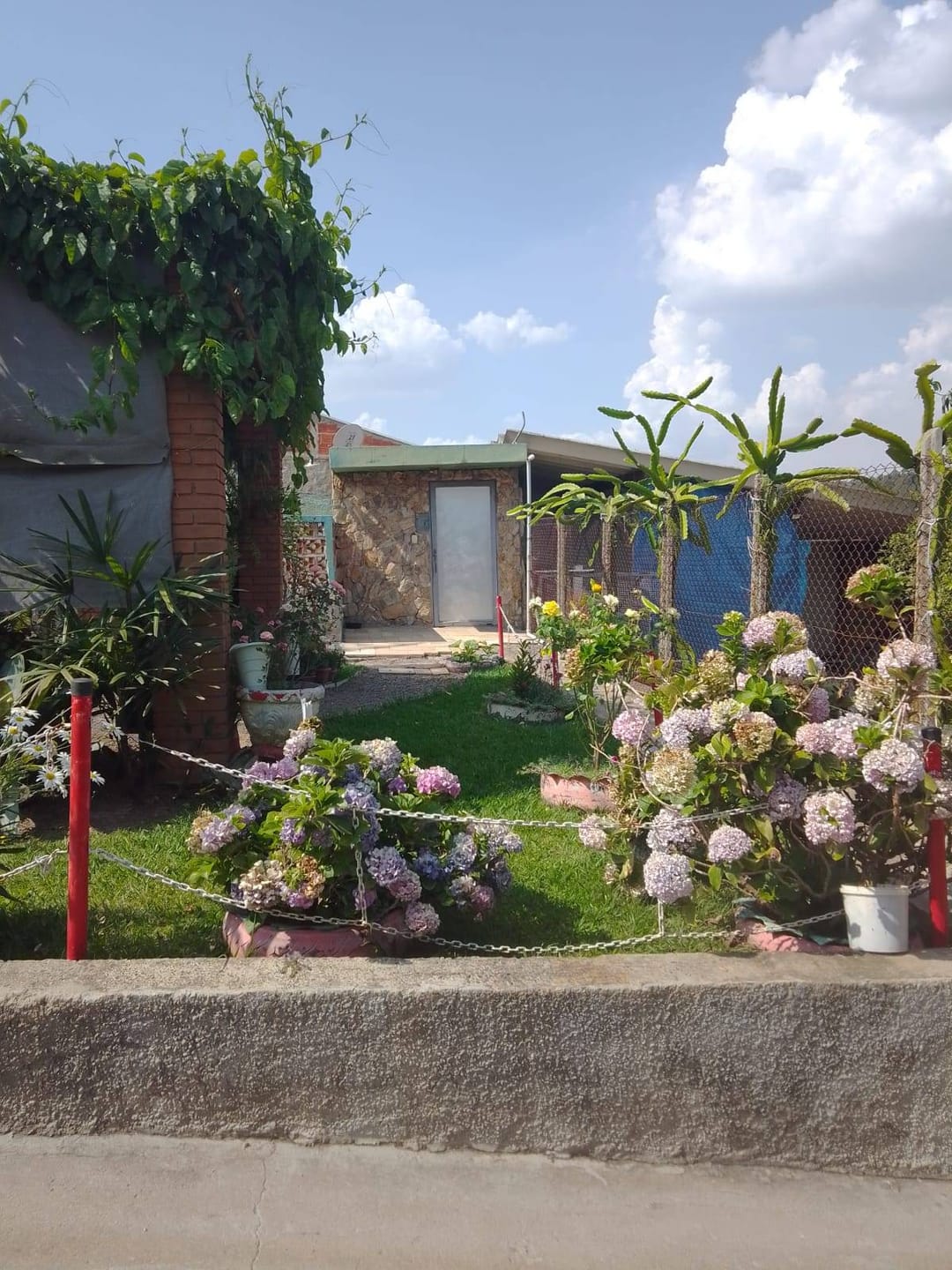 Chácara, 2 quartos, 1000 m² - Foto 29