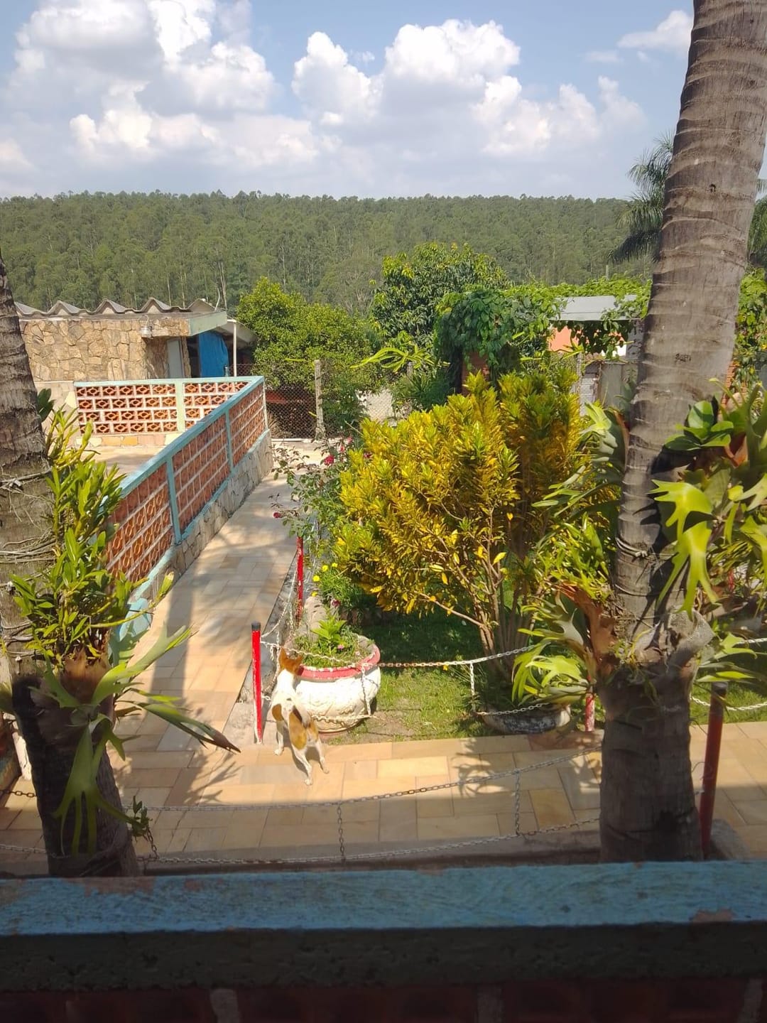 Chácara, 2 quartos, 1000 m² - Foto 6