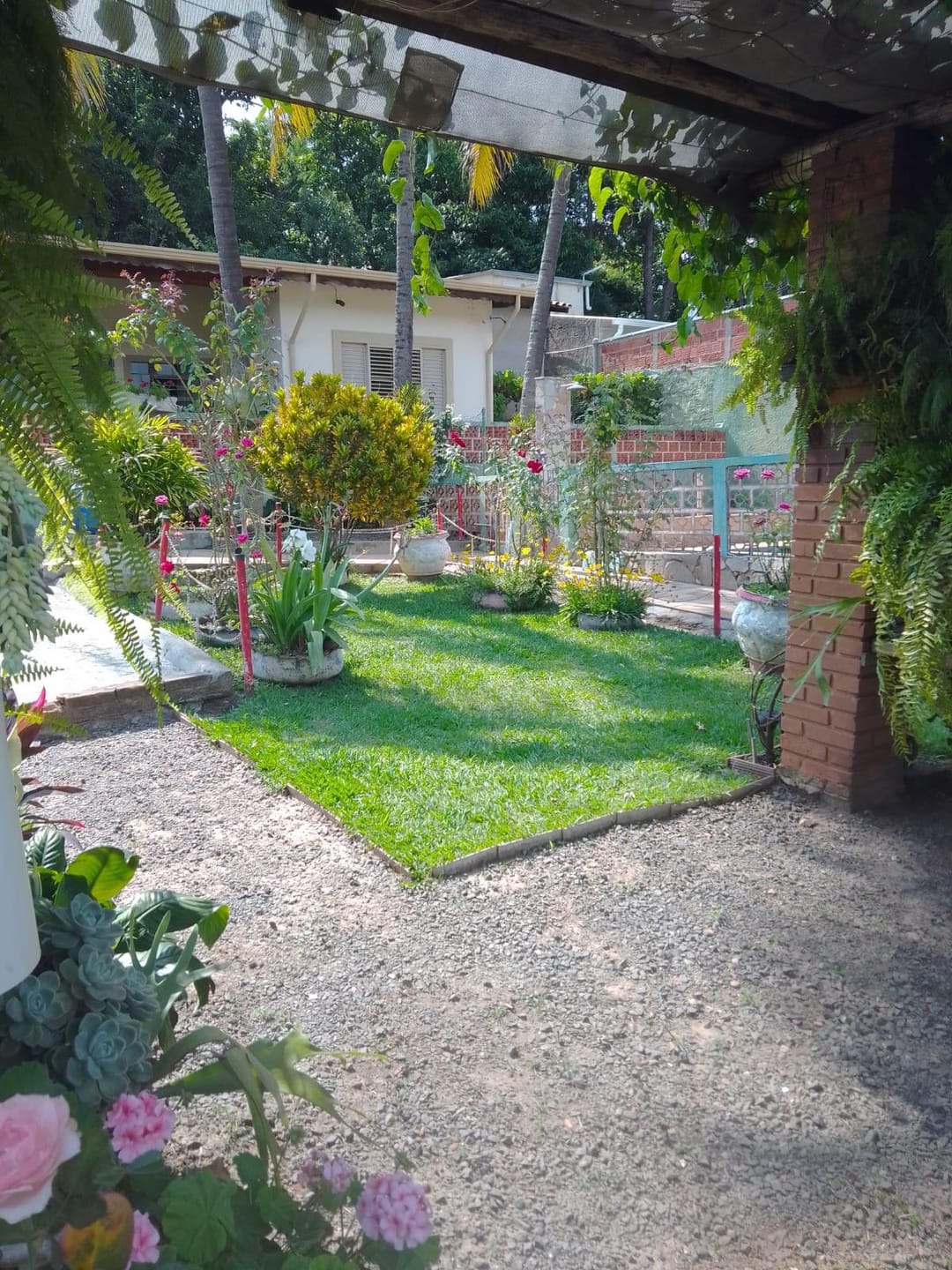 Chácara, 2 quartos, 1000 m² - Foto 10