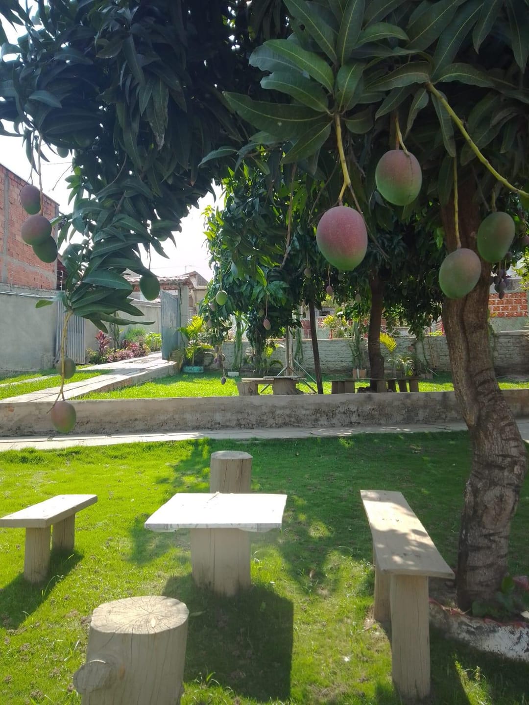 Chácara, 2 quartos, 1000 m² - Foto 2