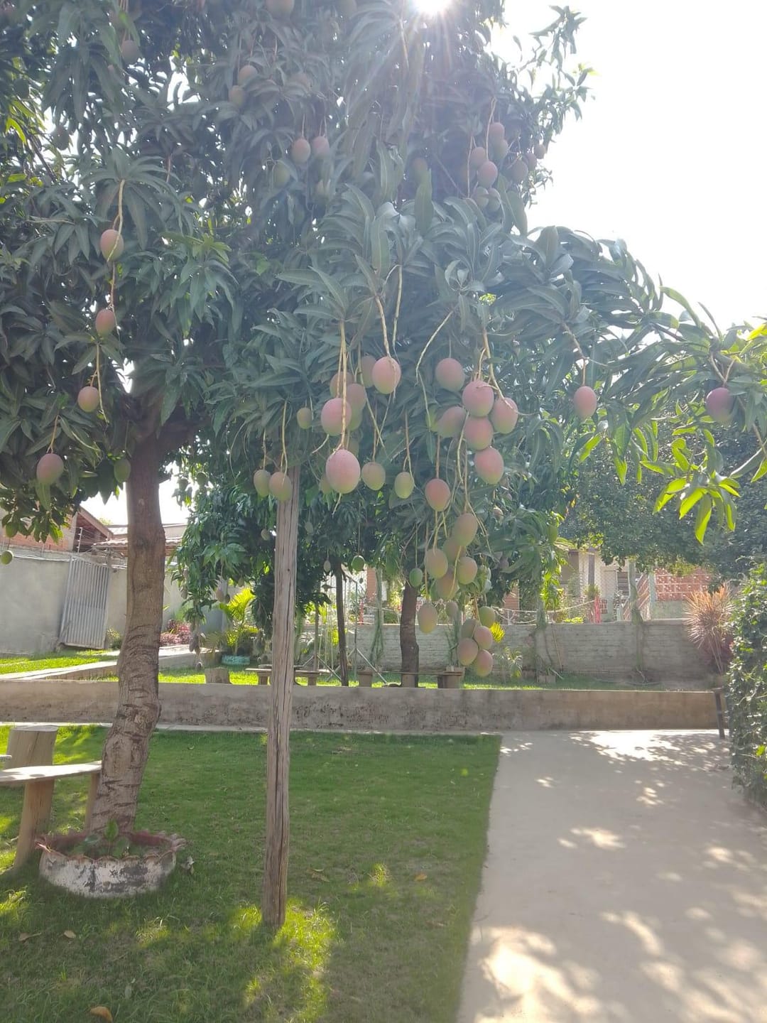 Chácara, 2 quartos, 1000 m² - Foto 13