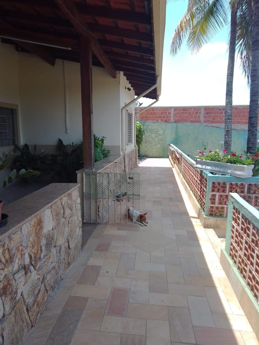 Chácara, 2 quartos, 1000 m² - Foto 5