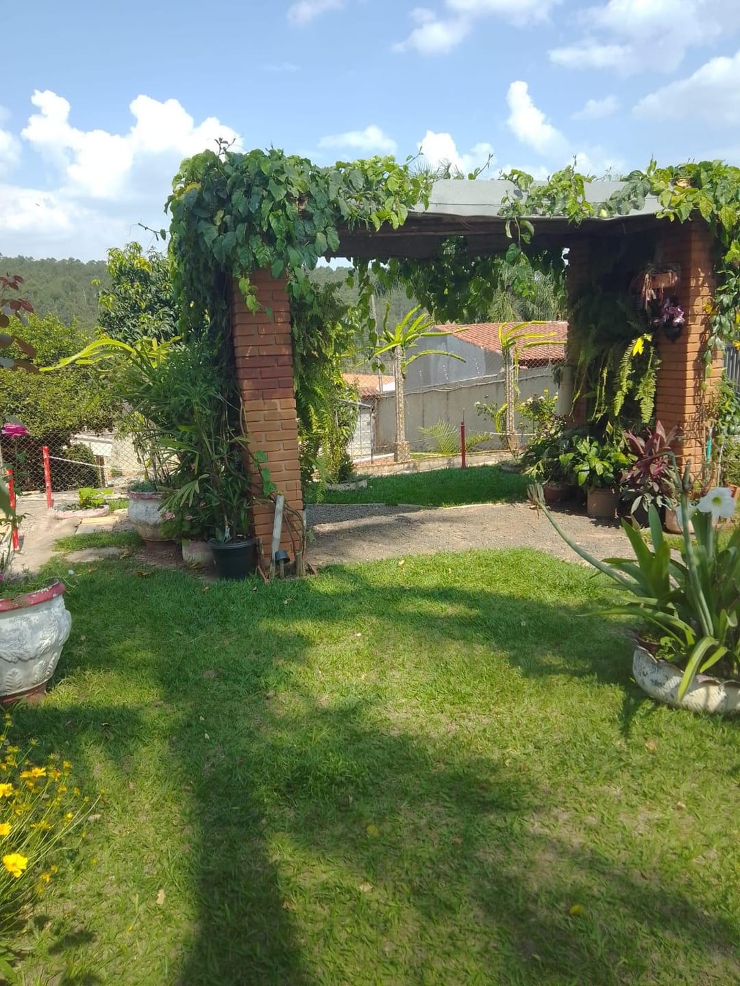 Chácara, 2 quartos, 1000 m² - Foto 14