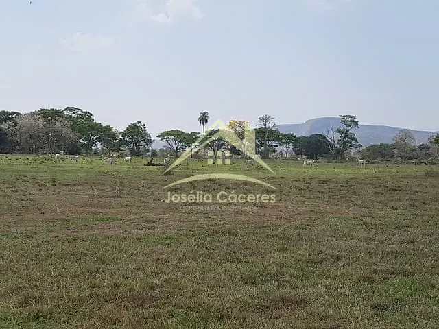 Fazenda com 2650m² 8 quartos e 5 banheiros, à venda, no bairro Centro em Cáceres
