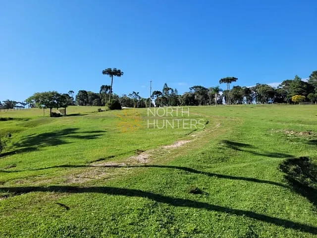 Chácara com 240000m² 3 quartos e 2 banheiros, à venda, no bairro Centenário em São Bento do Sul