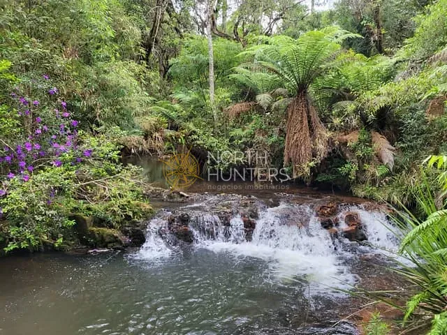 Chácara com 240000m² 3 quartos e 2 banheiros, à venda, no bairro Centenário em São Bento do Sul
