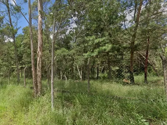 Sítio à venda, no bairro Planta Granjas Eldorado em Piraquara