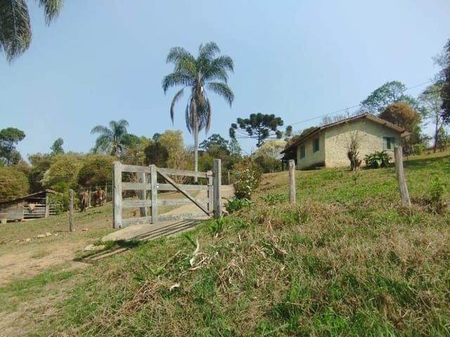 Chácara com 36000m², à venda, no bairro Serra do Cabral em Cambuí